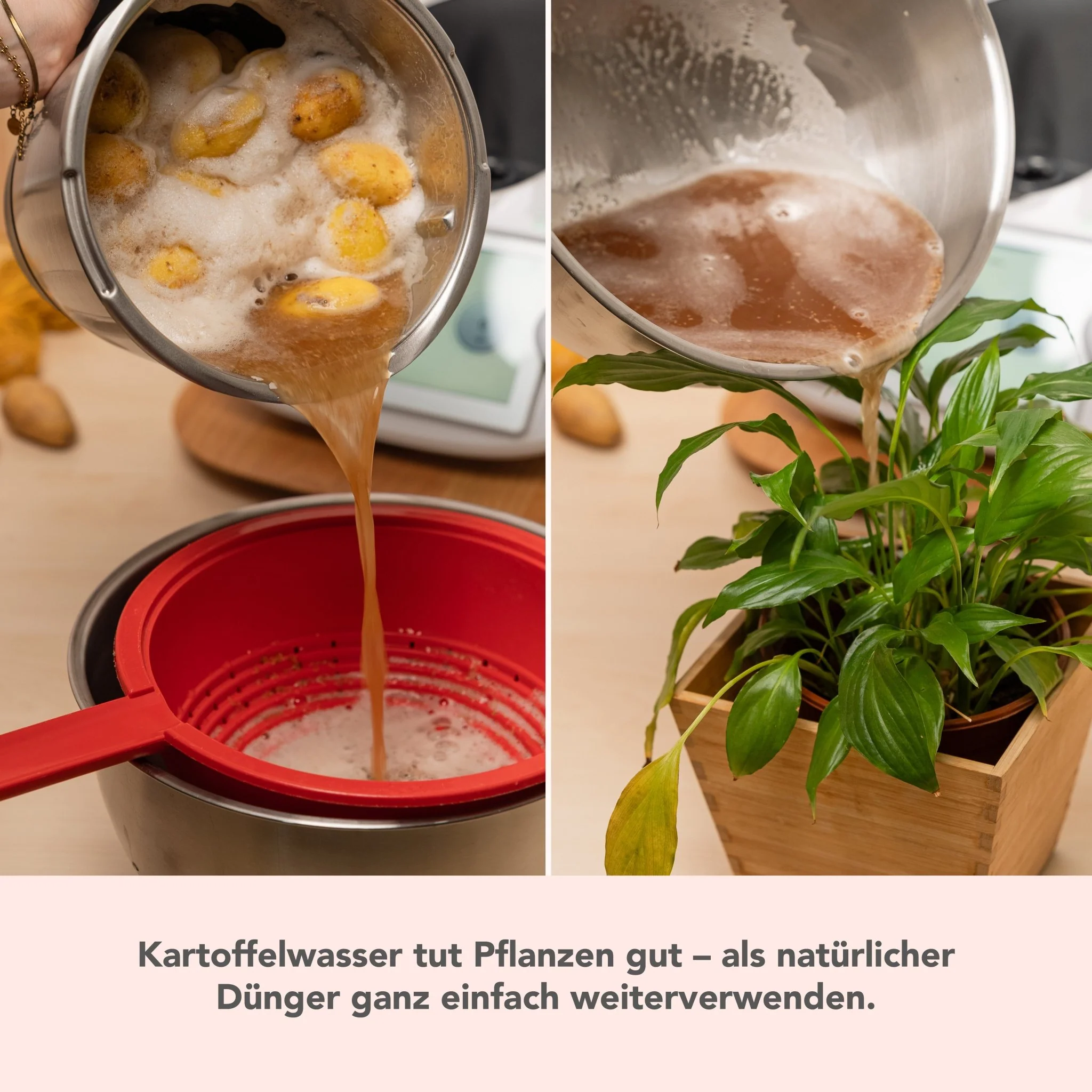 WunderPeeler® (mit Träger) | Kartoffelschäler-Aufsatz für Thermomix TM7, TM6, TM5, TM31 - Image 9