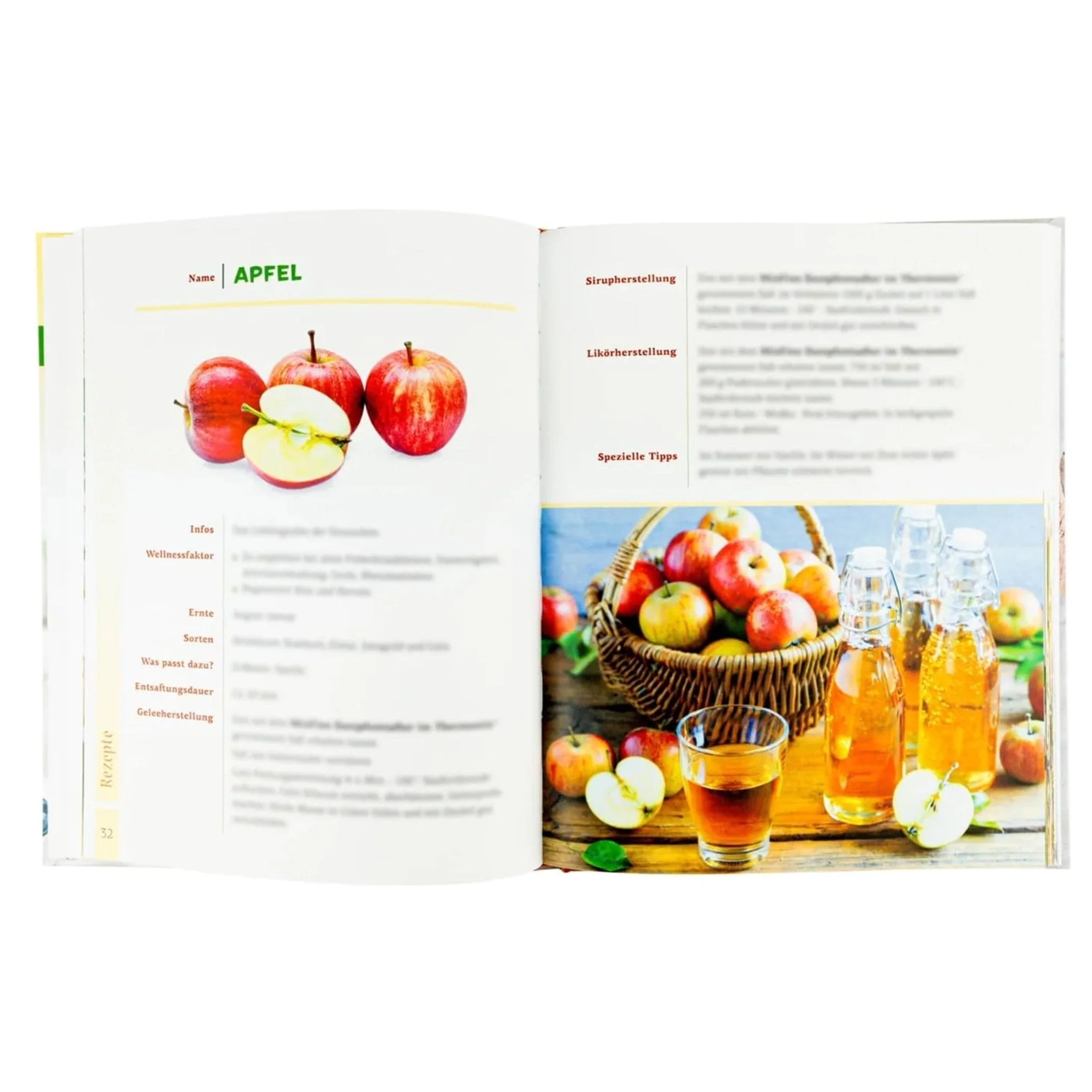 Dampfentsafter-Fibel für den Thermomix - Image 2