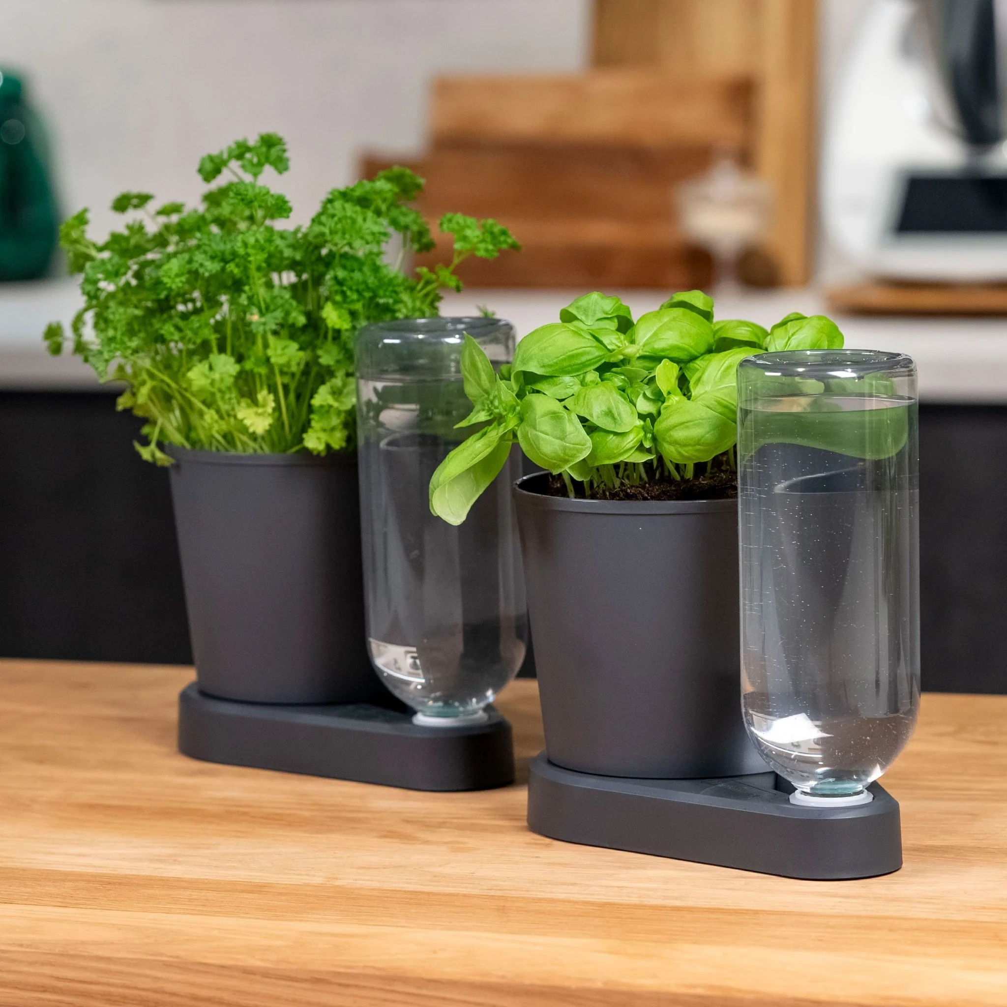 Herbimizer® | Kräutertopf mit automatischem Bewässerungssystem - Image 5
