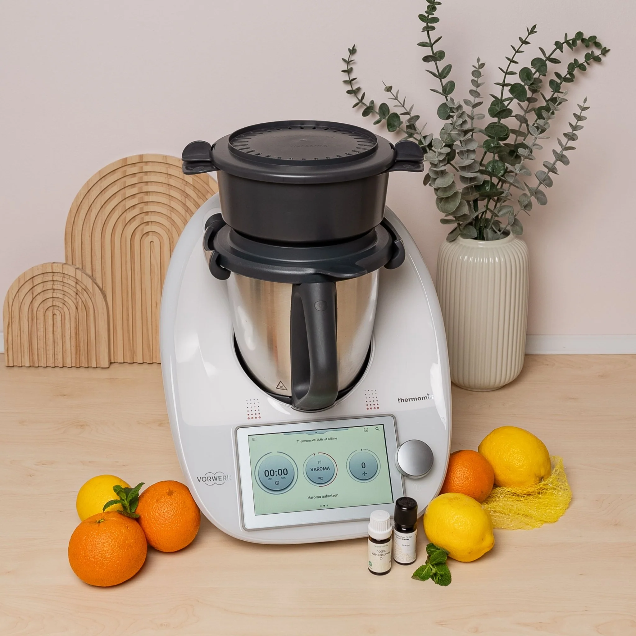 SteamCover® | Dampf- und Geruchsfilter für Thermomix TM6, TM5, TM31, TM Friend - Image 4