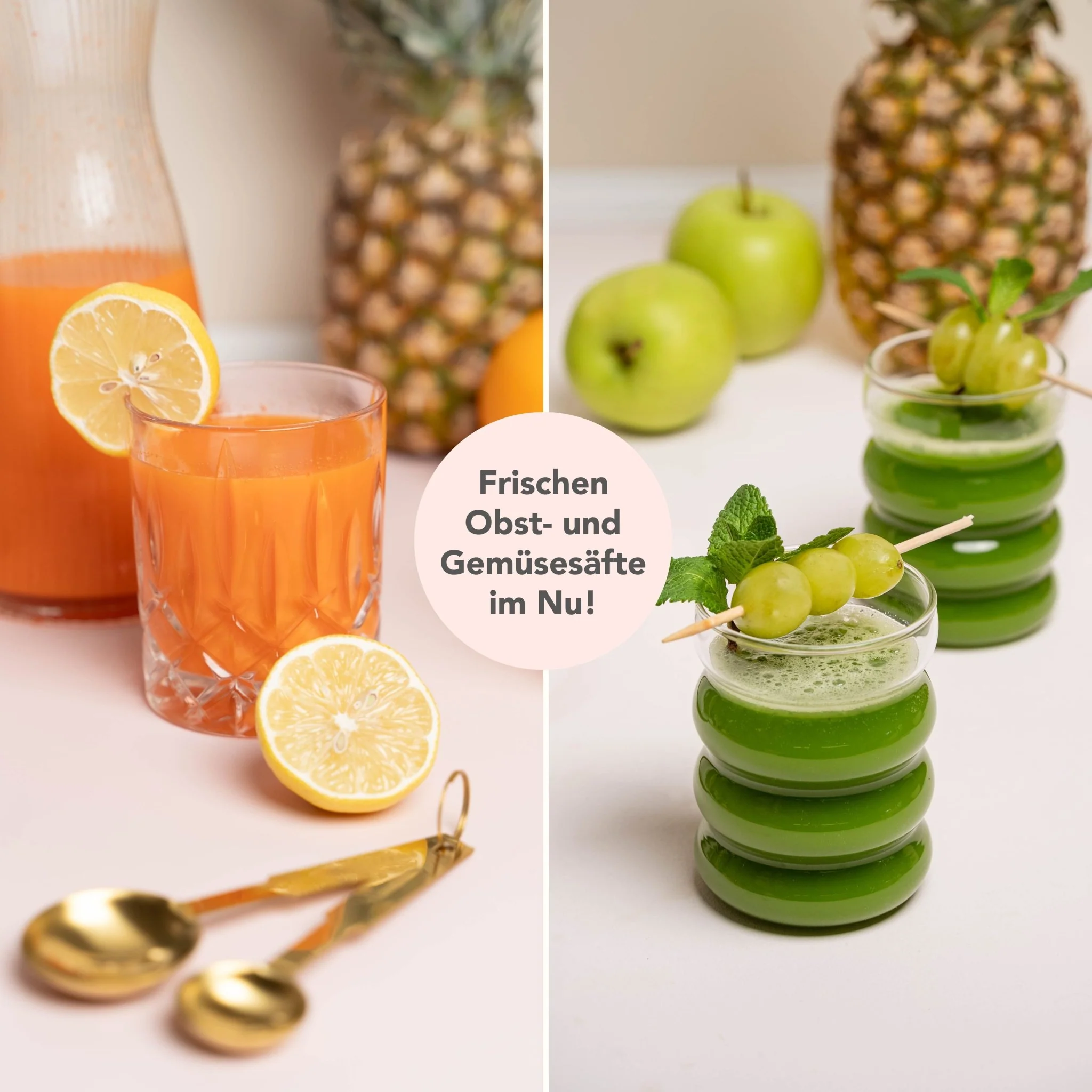 WunderCentix® | Starter-Set "Slow Juicer" für TM6, TM5 - Image 9